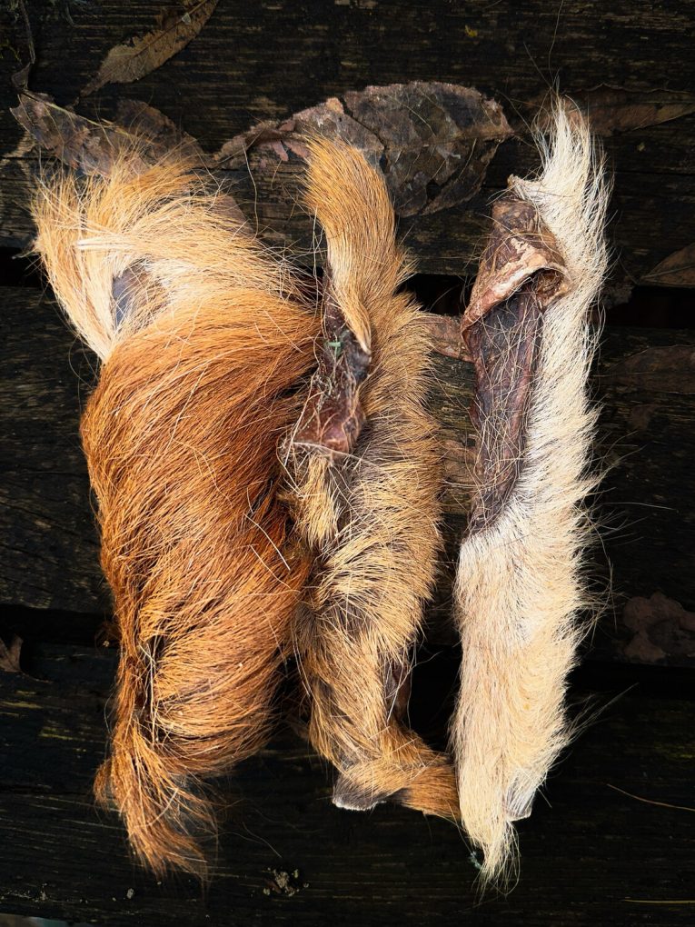 hairy-venison-skin